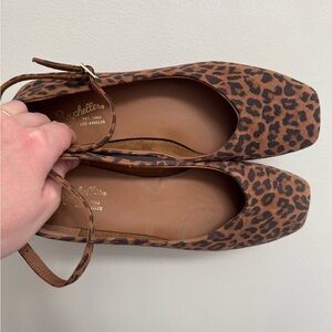 Seychelles Pumpkin Flats